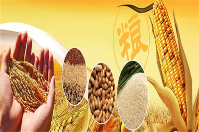 豐園農(nóng)副食品 深耕糧食加工，守護(hù)百姓餐桌安全與營(yíng)養(yǎng)