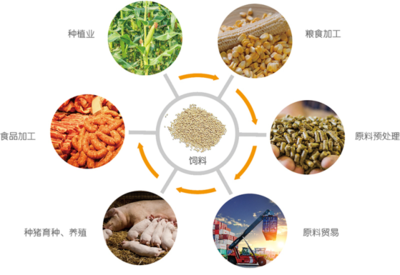 谷實(shí)生物成功完成創(chuàng)業(yè)板上市輔導(dǎo)，2020年?duì)I收突破17億元，糧食加工食品生產(chǎn)領(lǐng)域再添強(qiáng)將
